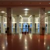 2017-1.Arrivo
