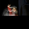 2018.3-Granelli di sabbia